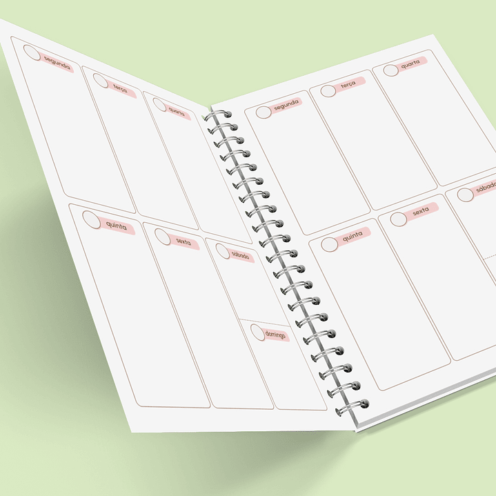 Arquivo Caderno de Controle Doméstico em Pdf  19