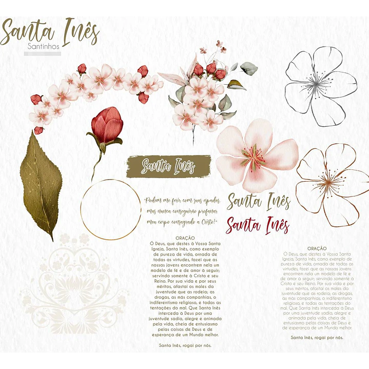 Kit Digital Santa Inês Aquarela em Png  4