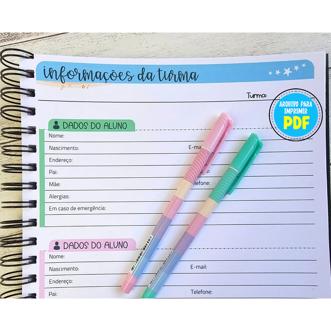 Arquivo Caderno de Registros de Aula Professores em Pdf  6