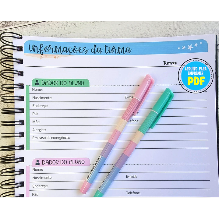 Arquivo Caderno de Registros de Aula Professores em Pdf  6