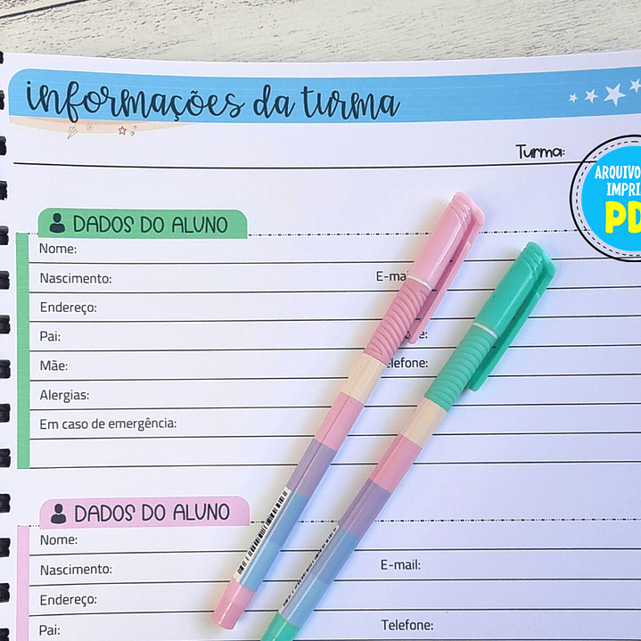 Arquivo Caderno de Registros de Aula Professores em Pdf  6