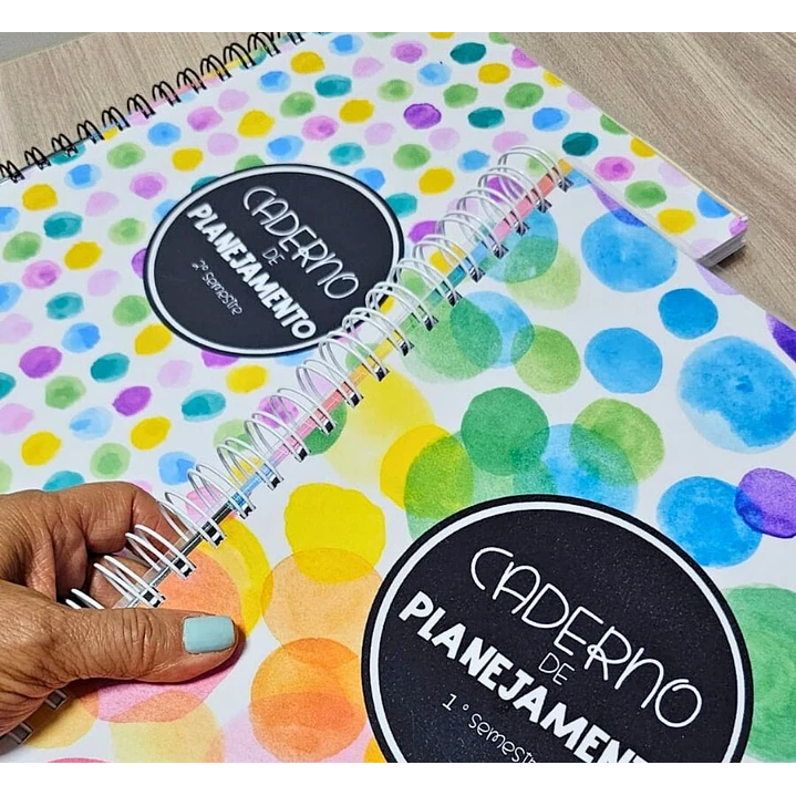 Arquivo Planner Anotações Professores em Pdf 2