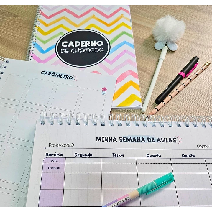 Arquivo Planner Anotações Professores em Pdf 4