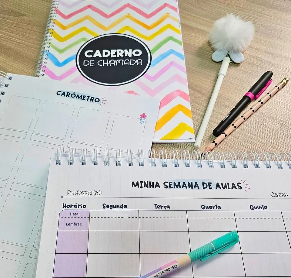 Arquivo Planner Anotações Professores em Pdf 4