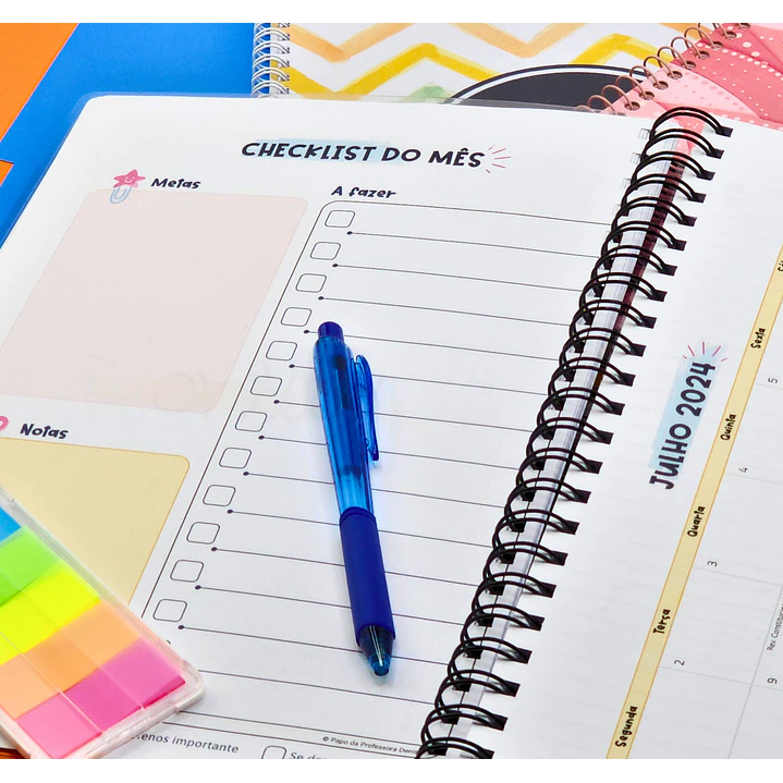 Arquivo Planner Anotações Professores em Pdf 7
