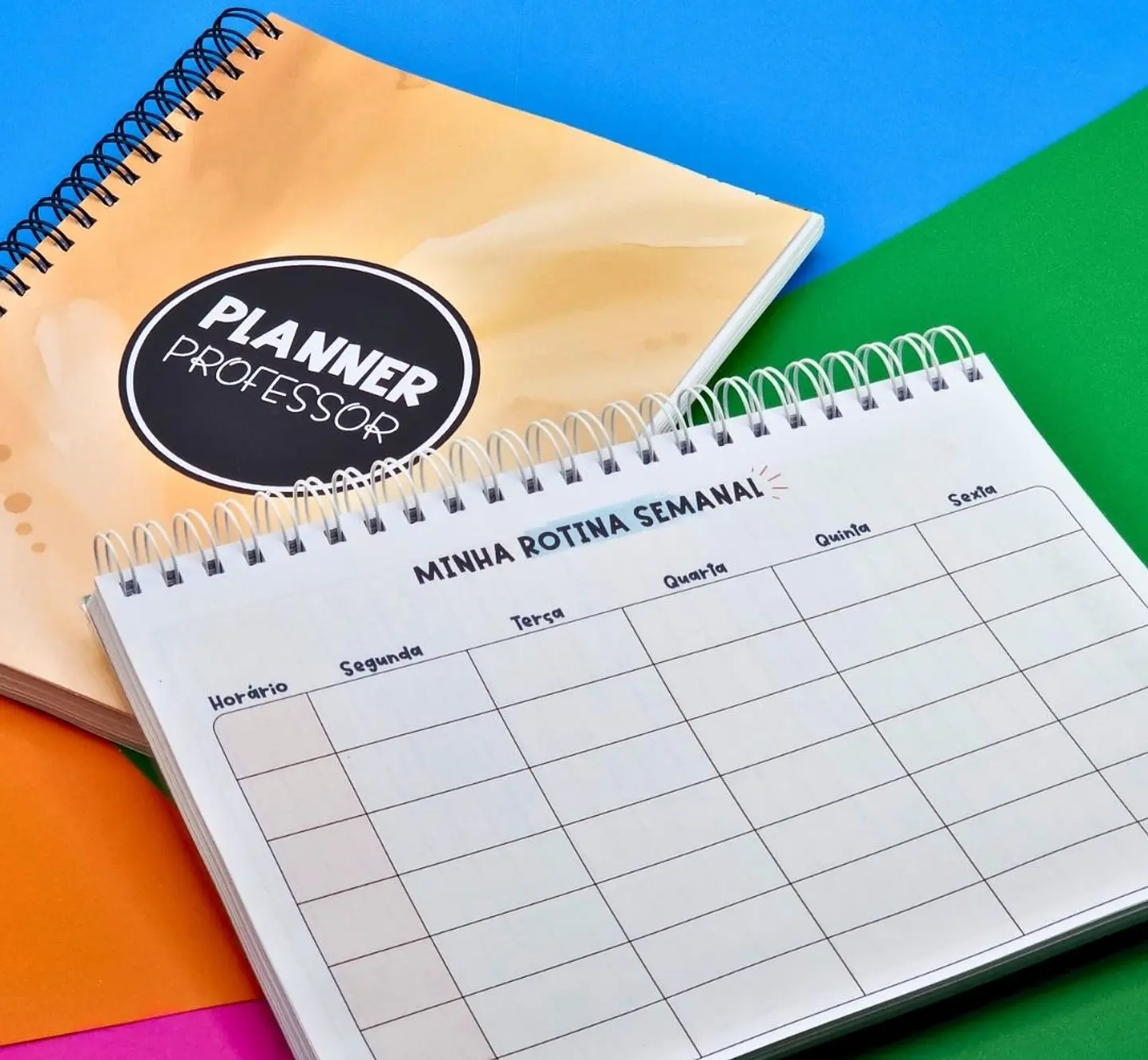 Arquivo Planner Anotações Professores em Pdf 8