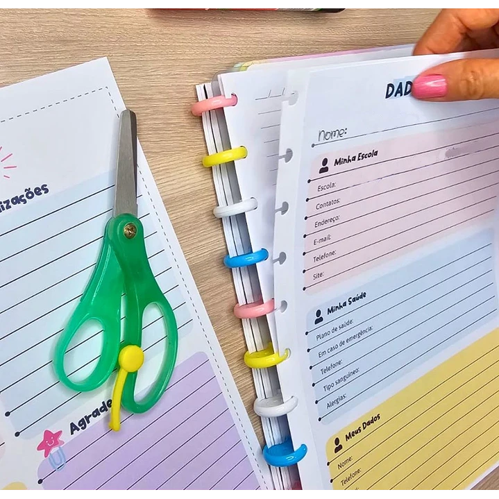 Arquivo Planner Anotações Professores em Pdf 12