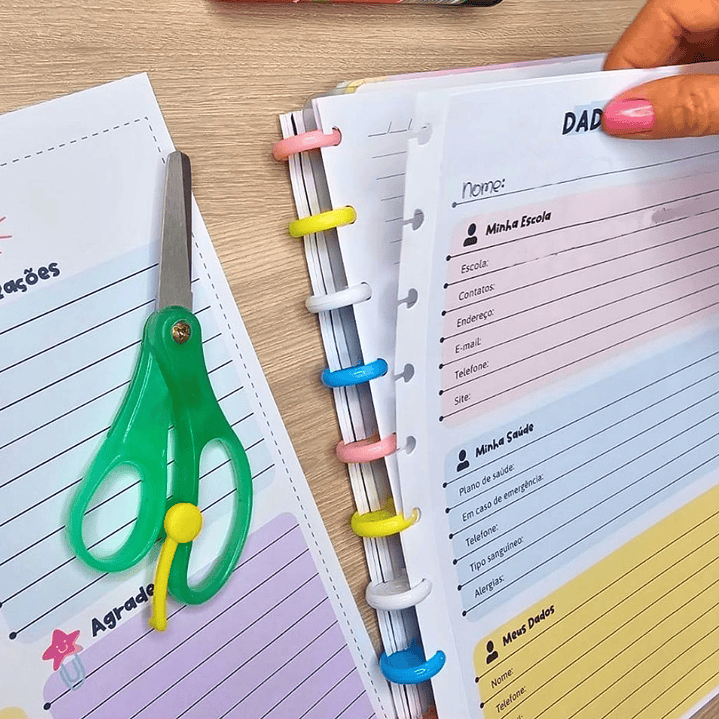 Arquivo Planner Anotações Professores em Pdf 12