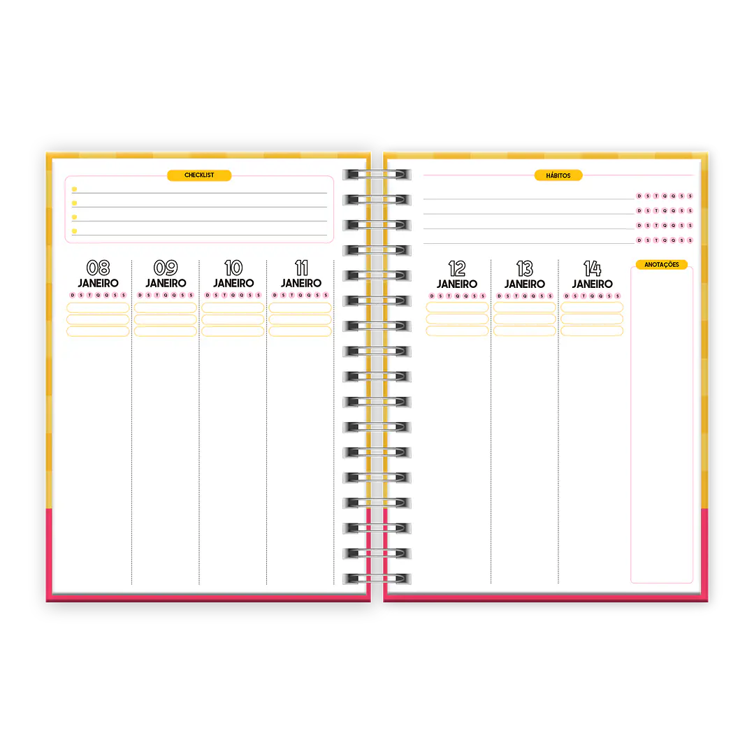 Arquivo Agenda Planner Sonhos 2024 em Pdf   6