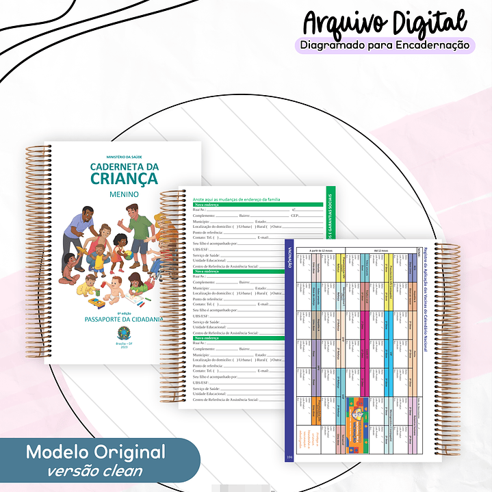 Arquivo Cadernetas da Saúde em Pdf 3