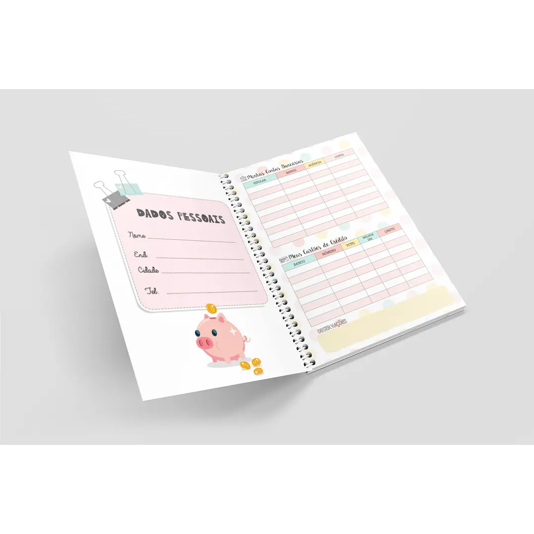 Arquivo Miolo Organizando Meu Dinheiro Financeiro em Pdf 2