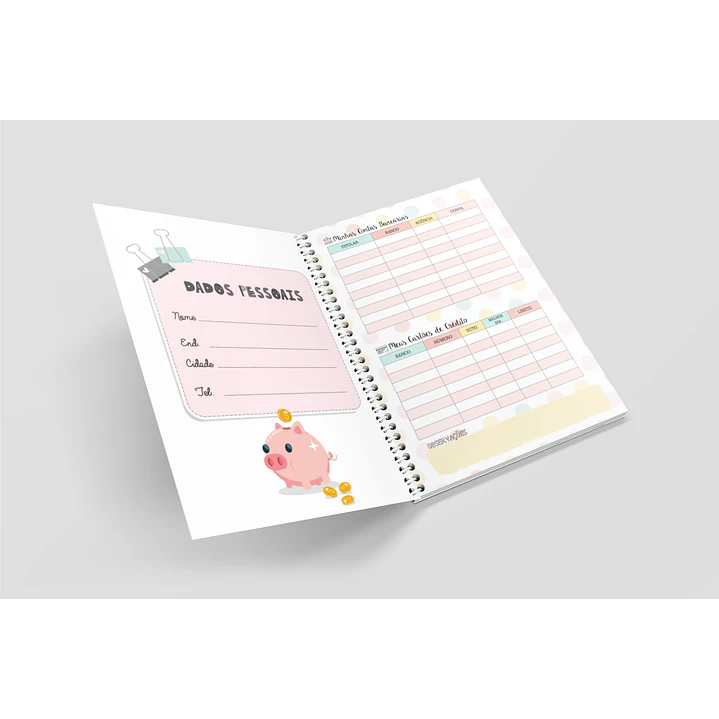 Arquivo Miolo Organizando Meu Dinheiro Financeiro em Pdf 2