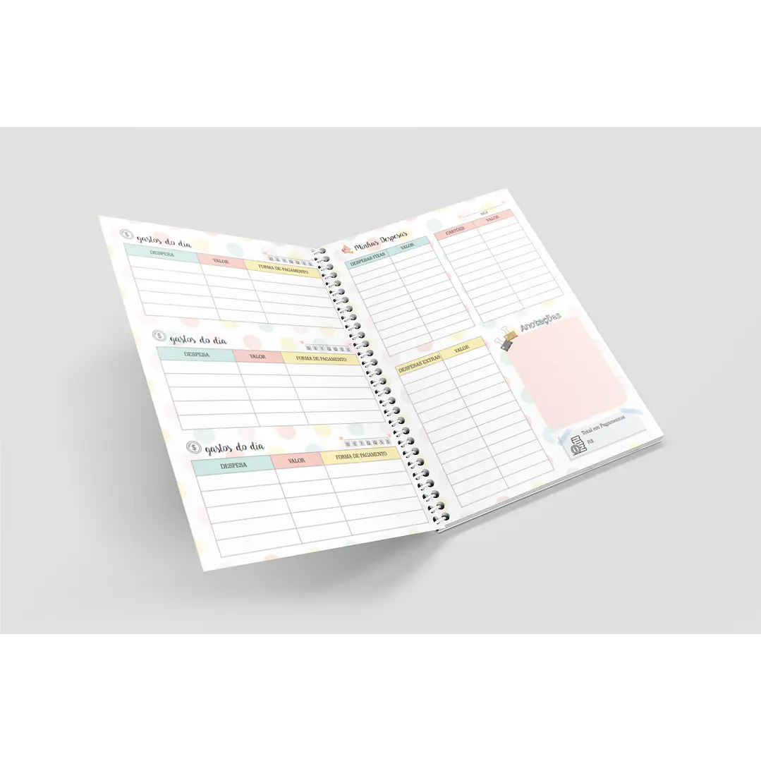 Arquivo Miolo Organizando Meu Dinheiro Financeiro em Pdf 3