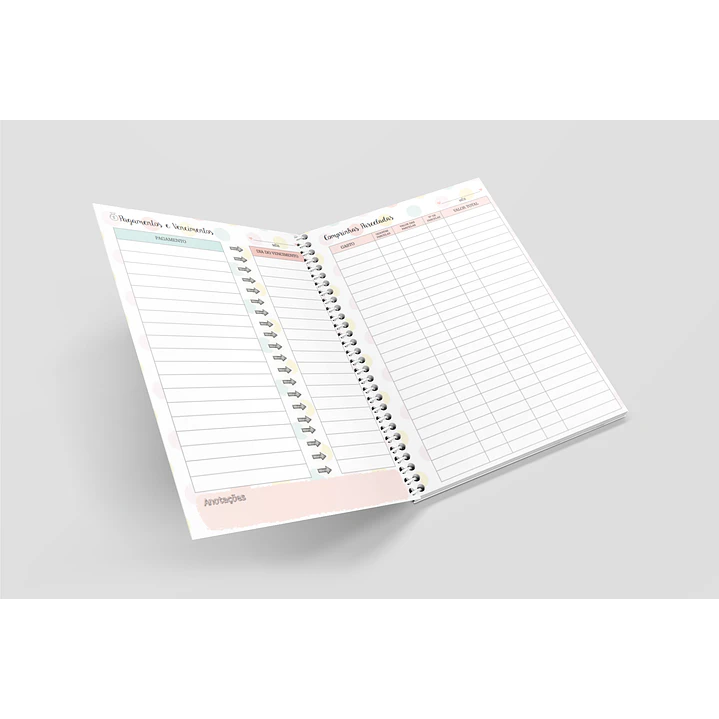 Arquivo Miolo Organizando Meu Dinheiro Financeiro em Pdf 6