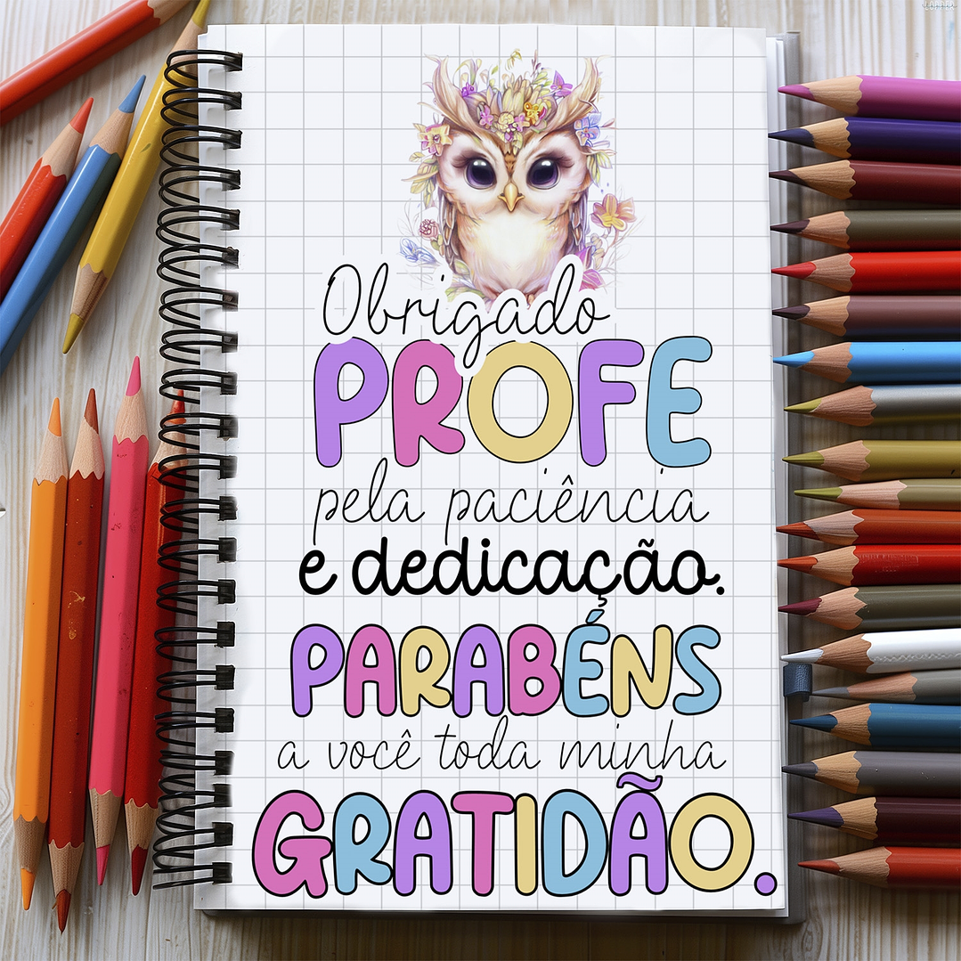 12 Artes para Capa Agenda Dia dos Professores Arquivo em Jpg 8