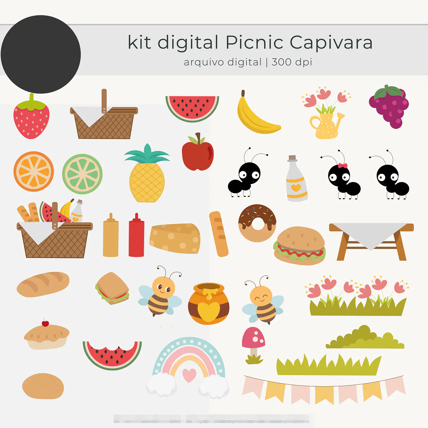 Kit Digital Picnic Capivara Arquivos em Png   4