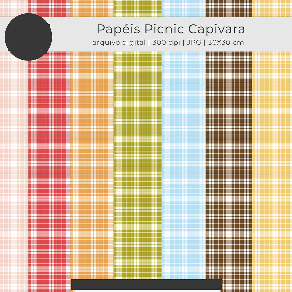 Kit Digital Picnic Capivara Arquivos em Png   5