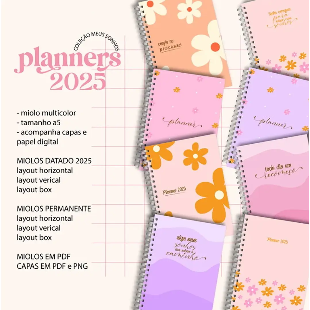 Arquivo Planner Financeiro 2025 em Pdf  1