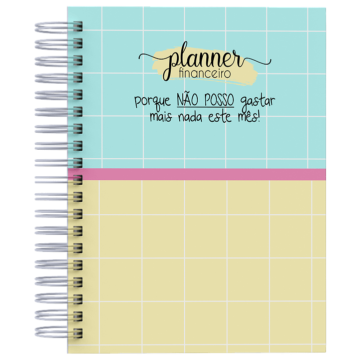 Arquivo Planner Financeiro 2025 em Pdf  3