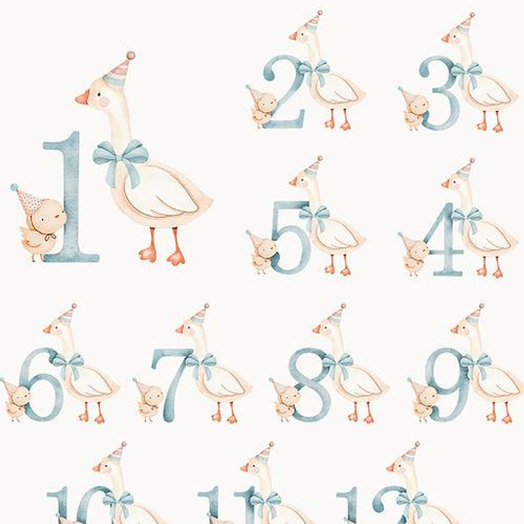Kit Digital Sr Ganso e Pintinho Aquarela Numerais Arquivo em Png  2