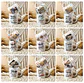 20 Artes para Caneca Dia dos Avós com Foto Arquivo Editável  - Miniatura 2