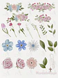 Kit Digital Virgem Maria, Fátima Maria Auxiliadora em Png - thumbnail 8