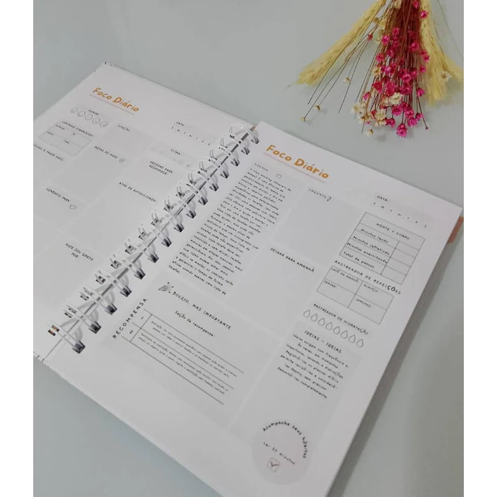Arquivo Planner sem Caos - TDAH Arquivo em Pdf #3577 2