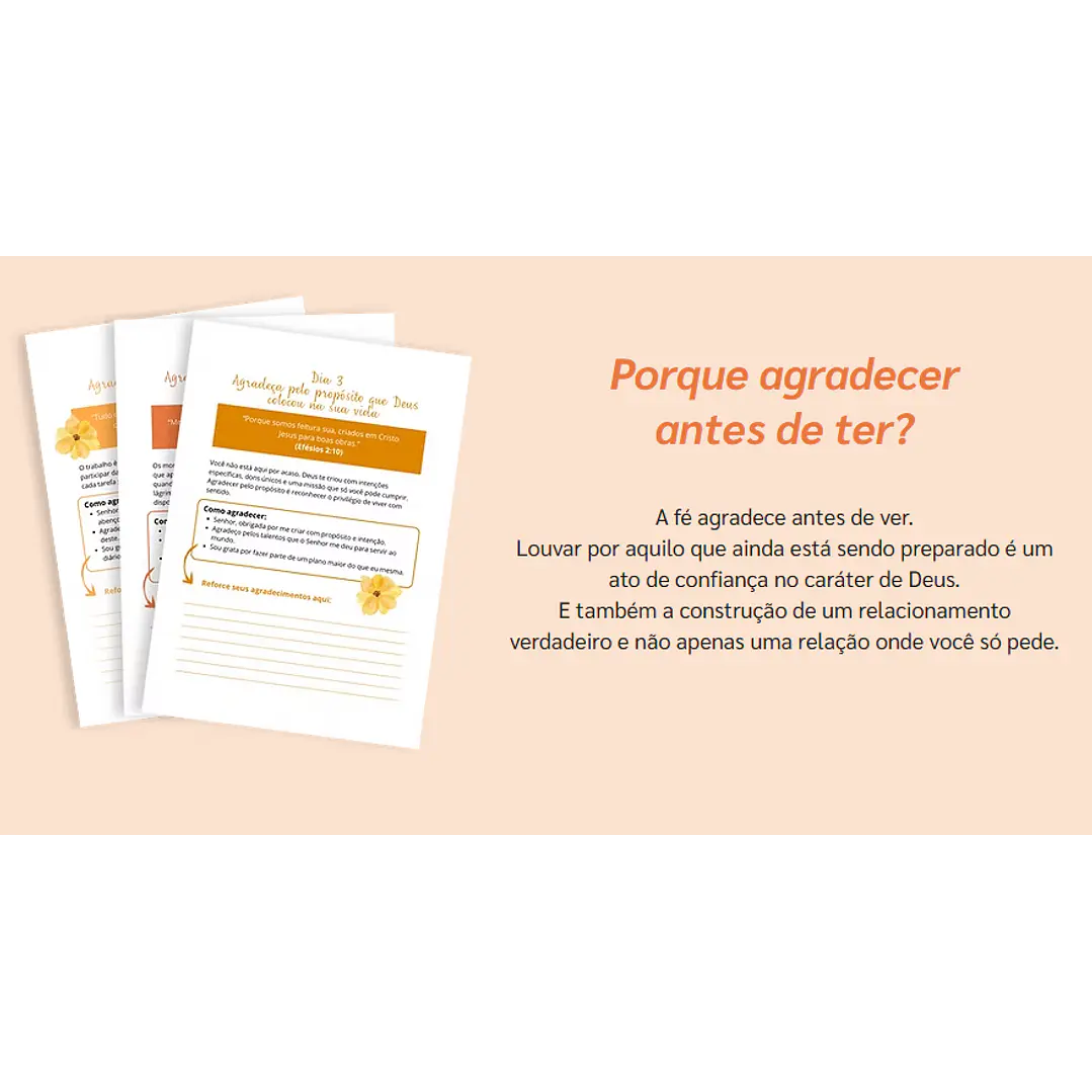 Arquivo 365 dias em Conexão com Deus Arquivo em Pdf 6