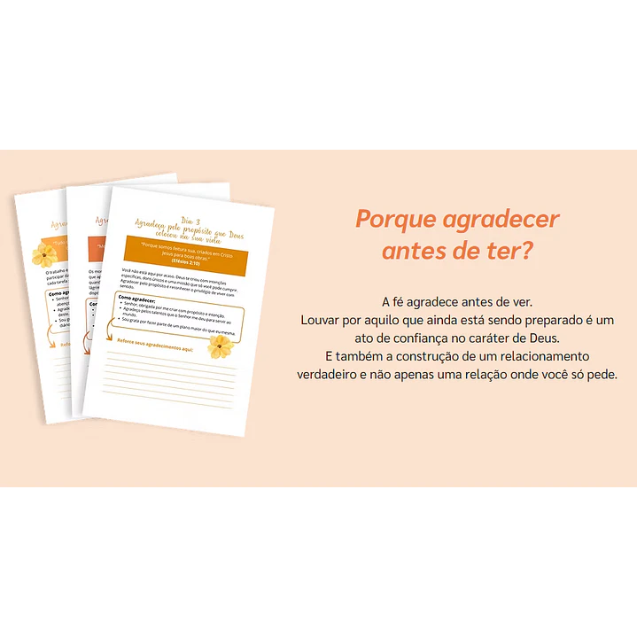 Arquivo 365 dias em Conexão com Deus Arquivo em Pdf 6