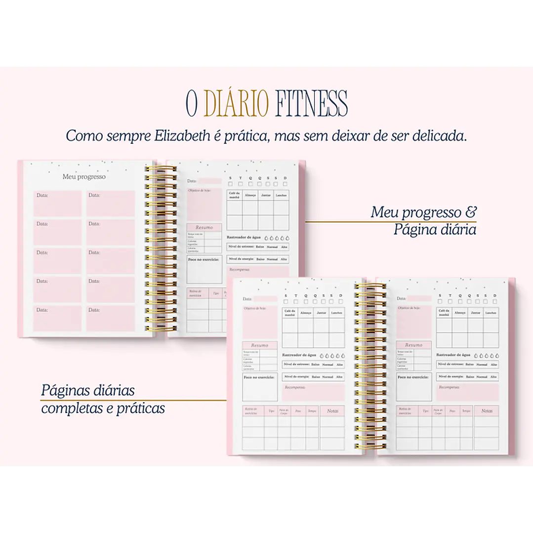Arquivo Encadernação Diario da Elizabeth Arquivo em Pdf  4