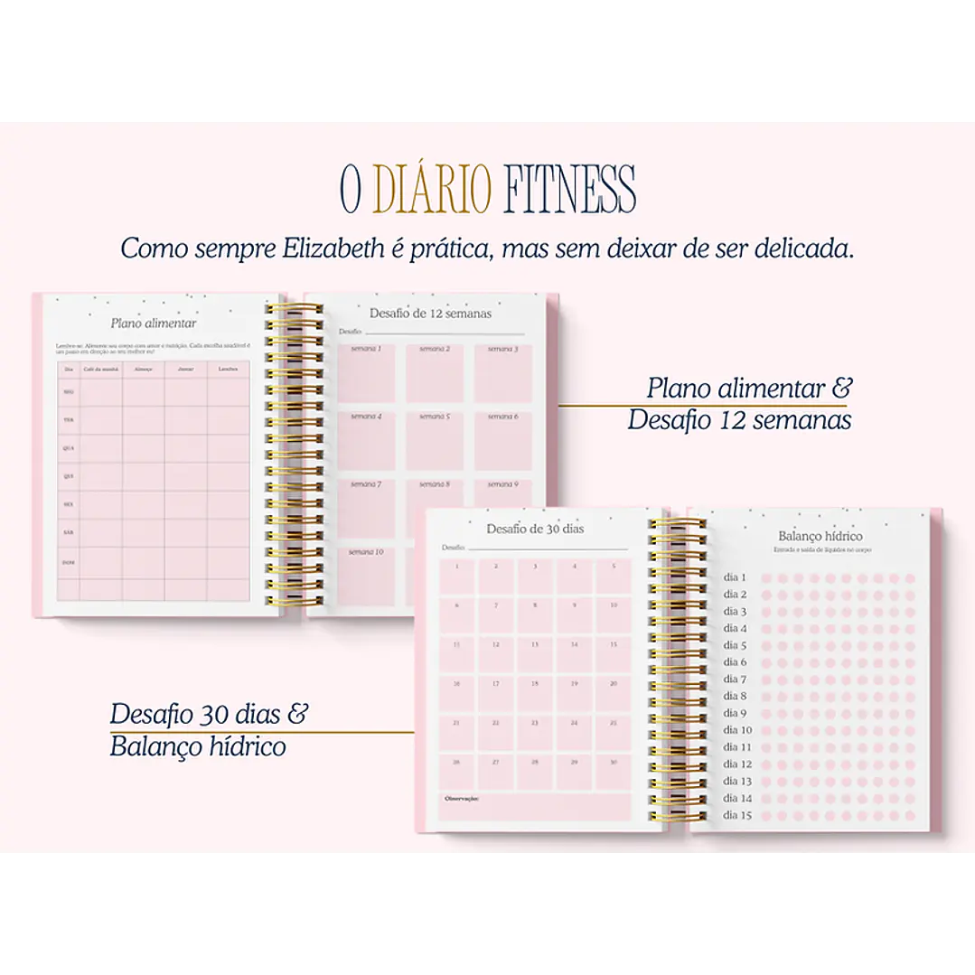 Arquivo Encadernação Diario da Elizabeth Arquivo em Pdf  5