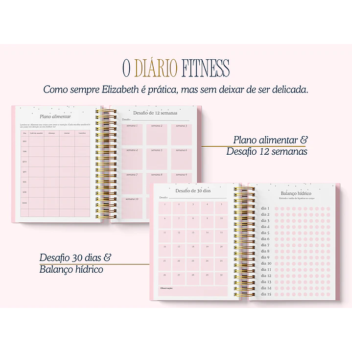 Arquivo Encadernação Diario da Elizabeth Arquivo em Pdf  5