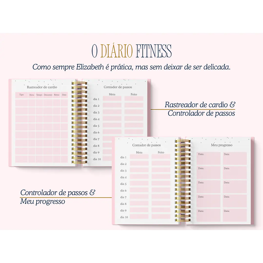 Arquivo Encadernação Diario da Elizabeth Arquivo em Pdf  7
