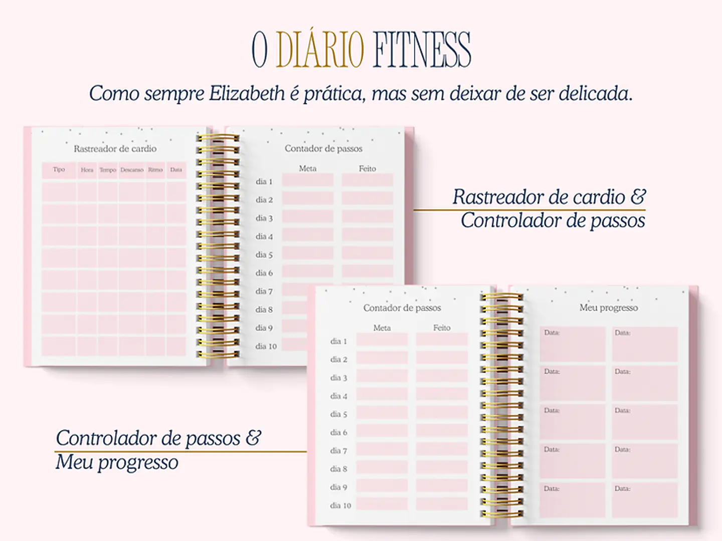 Arquivo Encadernação Diario da Elizabeth Arquivo em Pdf  11