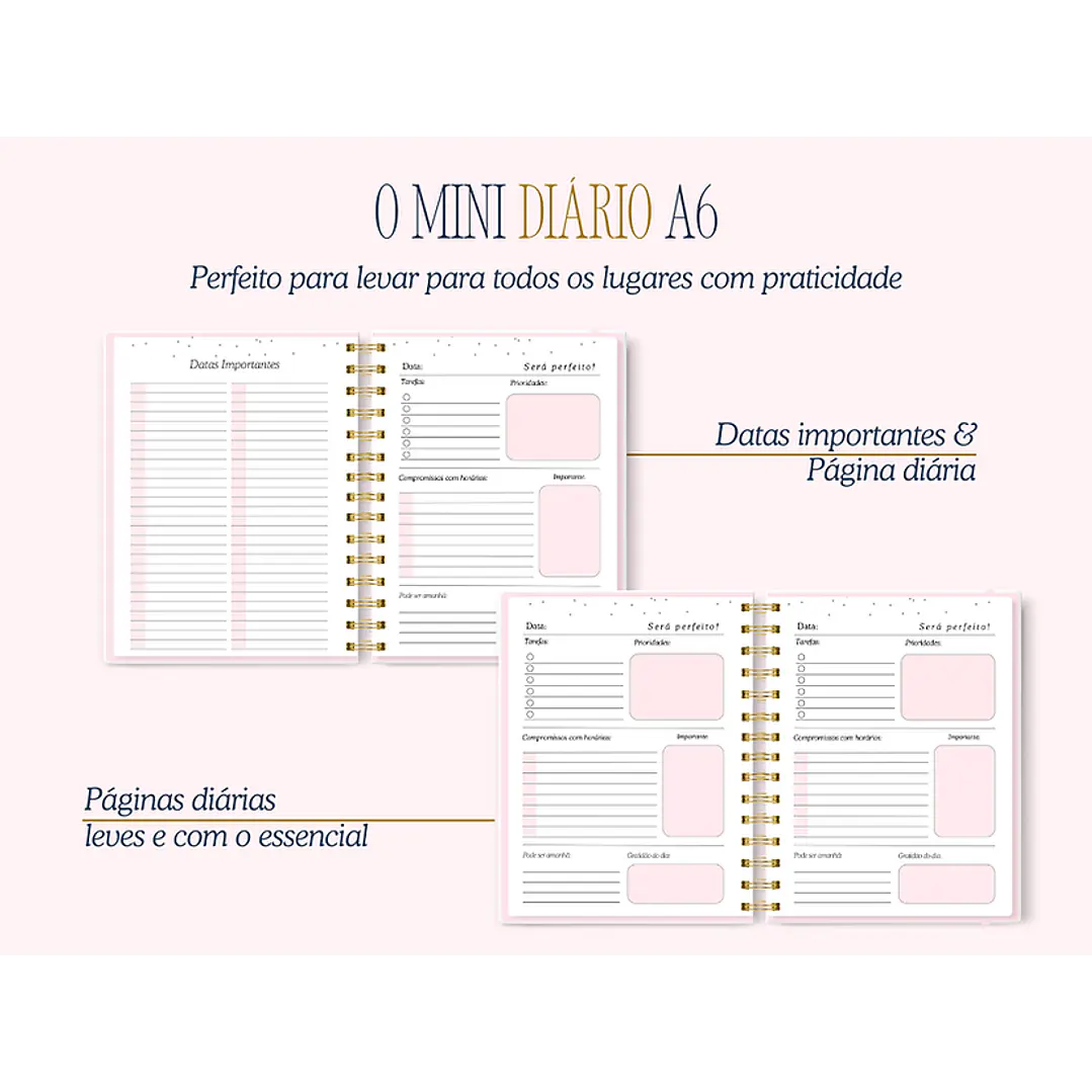 Arquivo Encadernação Diario da Elizabeth Arquivo em Pdf  14