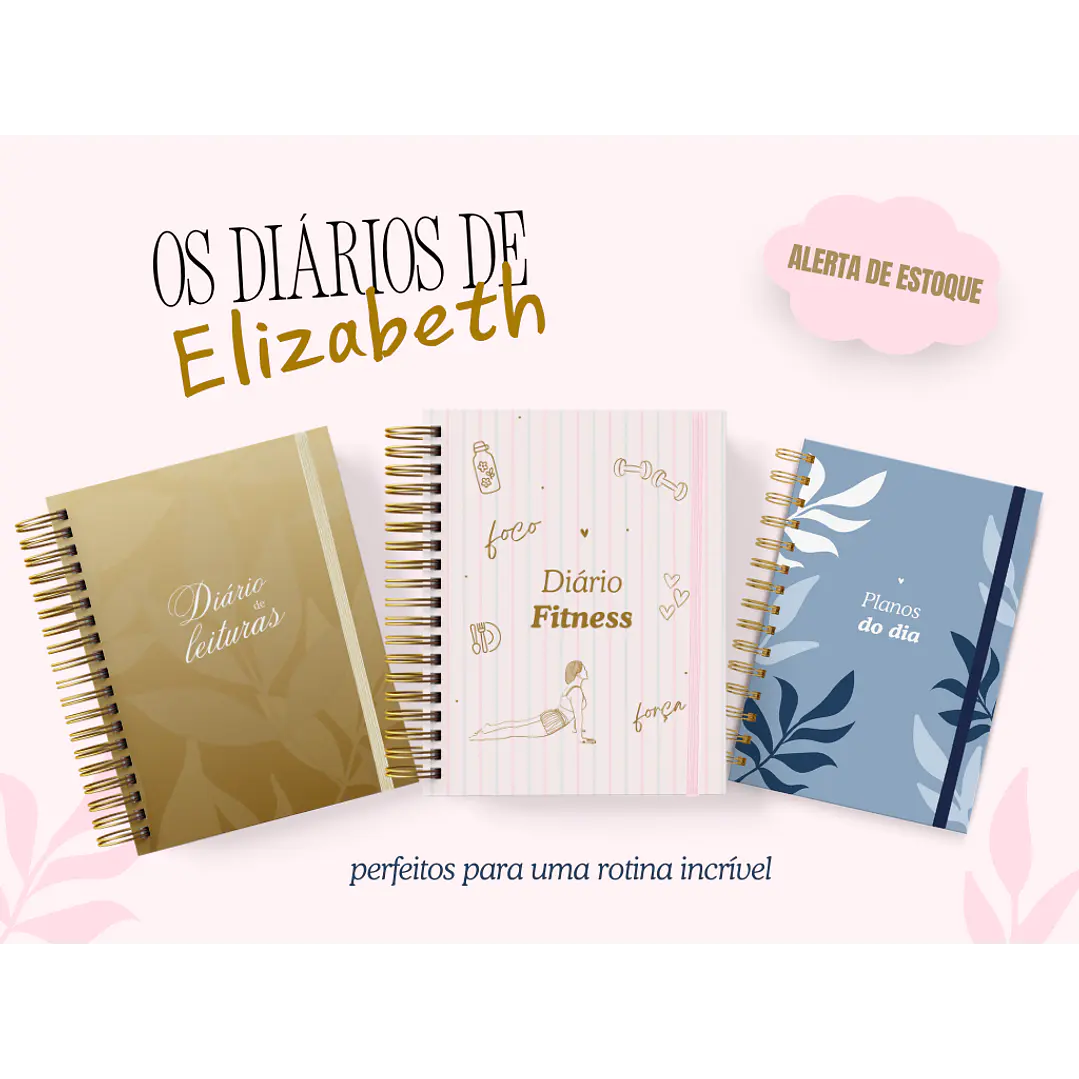 Arquivo Encadernação Diario da Elizabeth Arquivo em Pdf  15