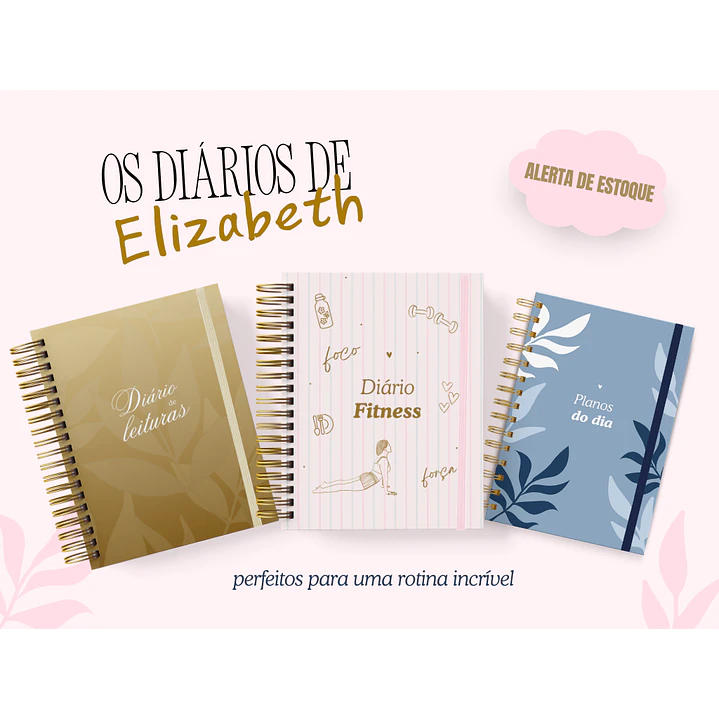 Arquivo Encadernação Diario da Elizabeth Arquivo em Pdf  15