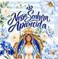14 Artes para Caneca e Azulejo Nossa Senhora Aparecida Arquivo em Png - Thumbnail 3