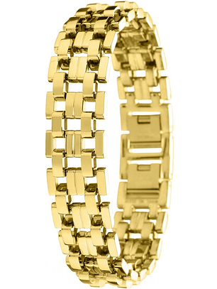 Invicta Elements Men's Bracelet, Gold Cod.30339