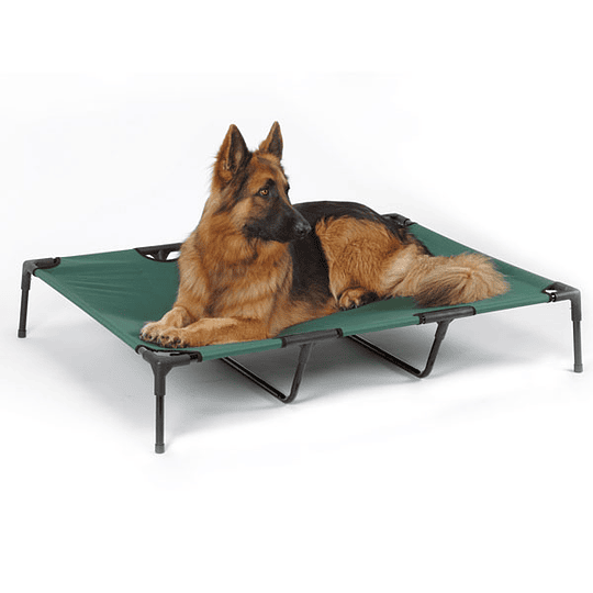 Cama - Cuna Elevada para Perros