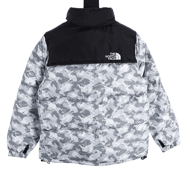 Puffer The North Face 1996 Retro Nuptse 6