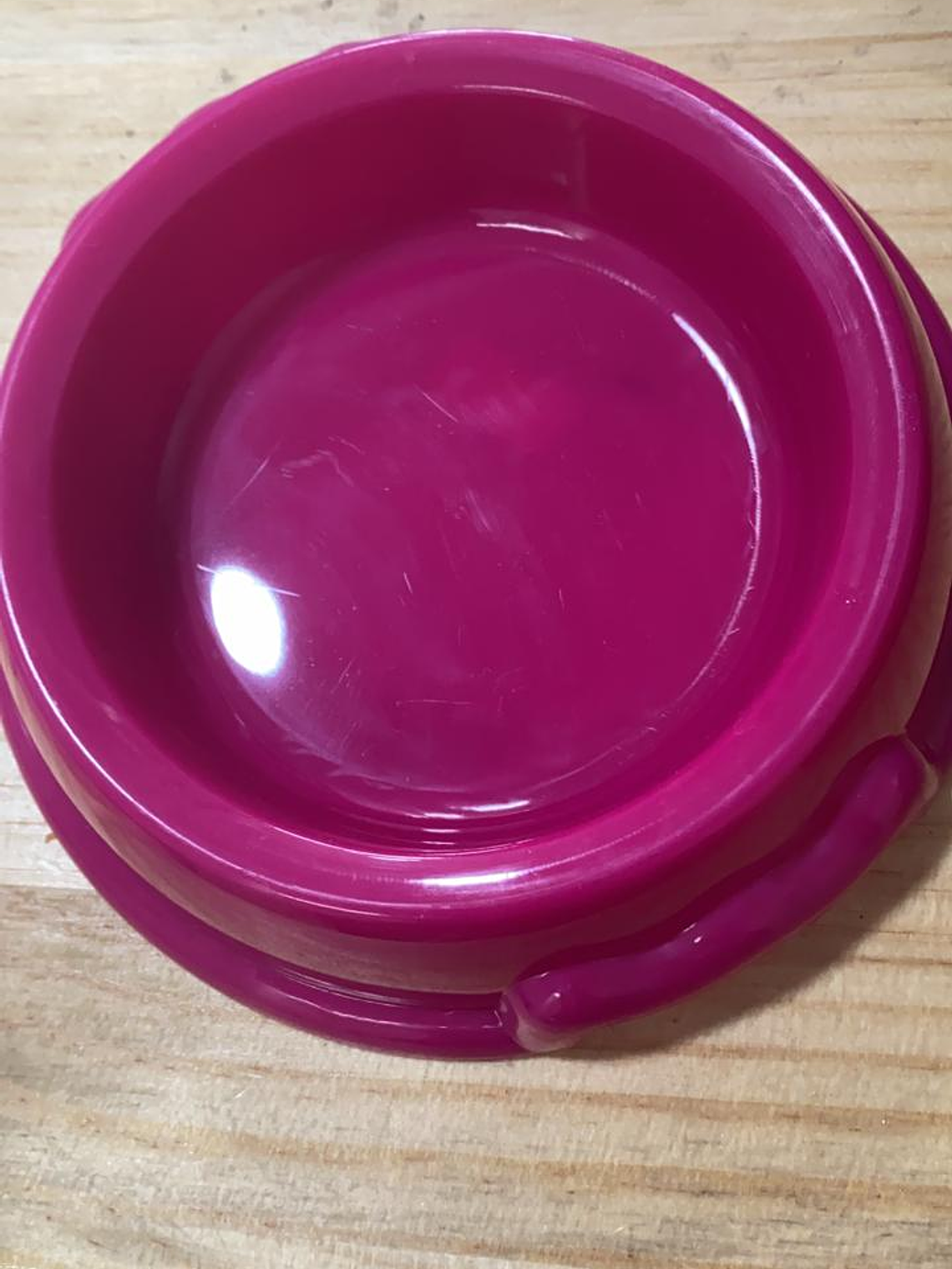 comedero para conejos N3 1