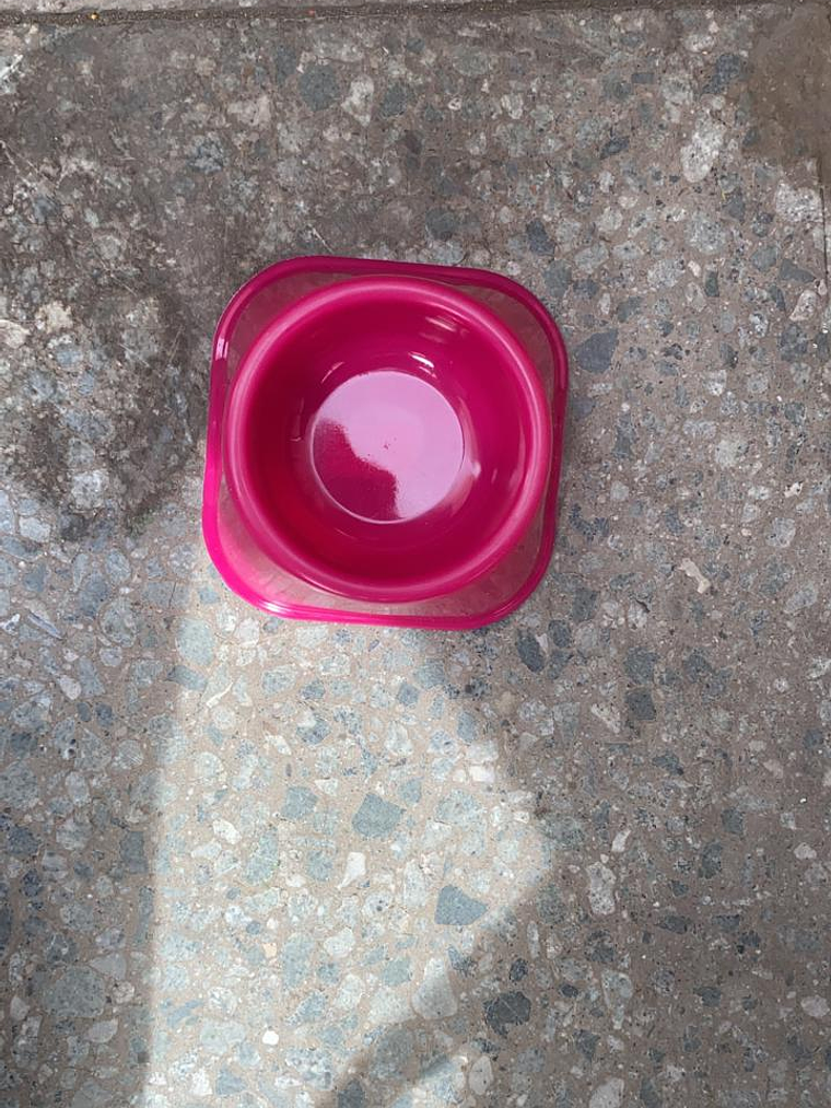 PLATO PLASTICO PARA Hamster N1 3