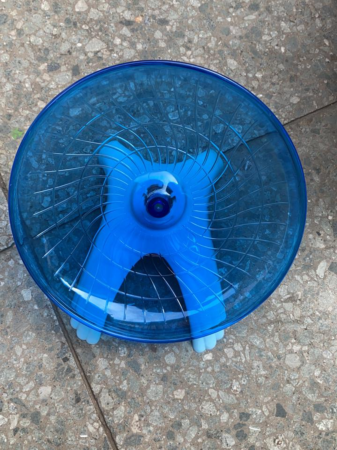 platillo GIRATORIO hamster 1