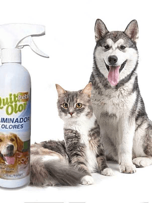 QUIT OLOR SPRAY 500ml