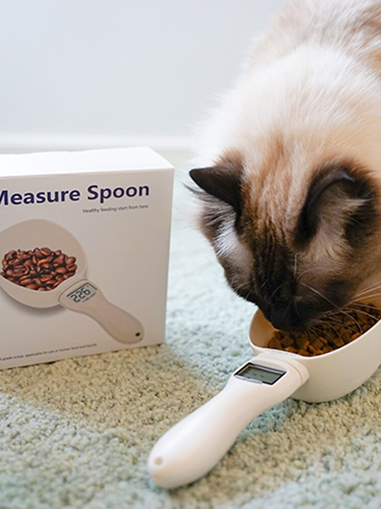 BASCULA ELECTRONICA measure spoon 1