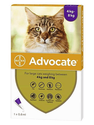 Advocate para Gato (4-8kg)