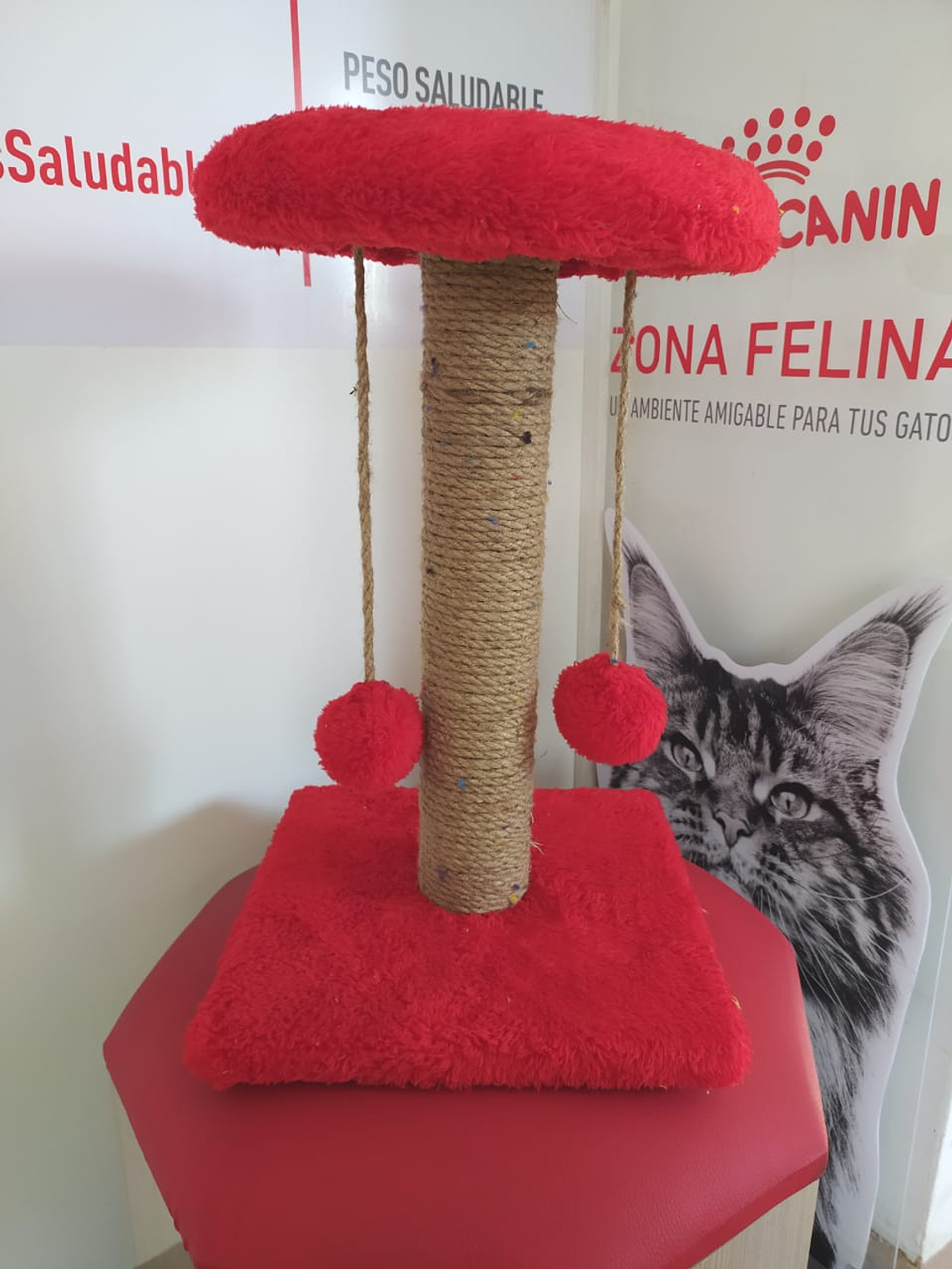 Rascador Producción Nacional Poste Pequeño Con Descanso  1