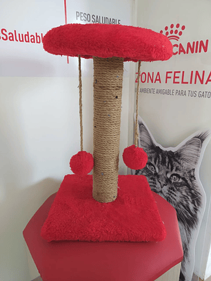 Rascador Producción Nacional Poste Pequeño Con Descanso 