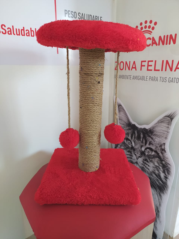 Rascador Producción Nacional Poste Pequeño Con Descanso  1